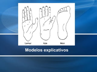 Modelos explicativos
 