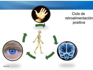 Ciclo de
            retroalimentación
                 positiva




Page  62
 