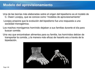 Modelo del aprovisionamiento

Una de las teorías más elaboradas sobre el origen del bipedismo es el modelo de
 C. Owen Lovejoy, que se conoce como “modelos de aprovisionamiento”
Lovejoy propone que la evolución del bipedismo fue una respuesta a una
 sociedad monogámica.
Los machos monógamos homínido dejaban a sus familias durante el día para
 buscar comida.
Una vez que encontraban alimentos para su familia, los homínidos debían de
 transportar la comida, y la manera más eficaz de hacerlo era a través de la
 bipedación.




Page  66
 