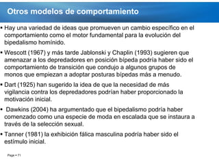 Otros modelos de comportamiento
 Hay una variedad de ideas que promueven un cambio específico en el
  comportamiento como el motor fundamental para la evolución del
  bipedalismo homínido.
 Wescott (1967) y más tarde Jablonski y Chaplin (1993) sugieren que
  amenazar a los depredadores en posición bípeda podría haber sido el
  comportamiento de transición que condujo a algunos grupos de
  monos que empiezan a adoptar posturas bípedas más a menudo.
 Dart (1925) han sugerido la idea de que la necesidad de más
  vigilancia contra los depredadores podrían haber proporcionado la
  motivación inicial.
 Dawkins (2004) ha argumentado que el bipedalismo podría haber
 comenzado como una especie de moda en escalada que se instaura a
 través de la selección sexual.
 Tanner (1981) la exhibición fálica masculina podría haber sido el
  estímulo inicial.

  Page  71
 