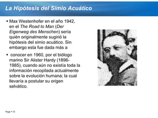 La Hipótesis del Simio Acuático

 Max Westenhofer en el año 1942,
  en el The Road to Man (Der
  Eigenweg des Menschen) sería
  quién originalmente sugirió la
  hipótesis del simio acuático. Sin
  embargo esta fue dada más a
 conocer en 1960, por el biólogo
 marino Sir Alister Hardy (1896-
 1985), cuando aún no existía toda la
 información recopilada actualmente
 sobre la evolución humana; la cual
 llevaría a postular su origen
 selvático.




Page  72
 
