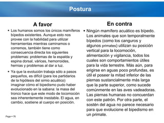 Postura

                A favor                                    En contra
  Los humanos somos los únicos mamíferos  Ningún mamífero acuático es bípedo.
   bípedos existentes. Aunque esto nos      Los animales que son temporalmente
   provee con la habilidad para utilizar    bípedos (como los canguros y
   herramientas mientras caminamos o
                                            algunos primates) utilizan su posición
   corremos, también tiene como
   consecuencia directa los siguientes      vertical para la locomoción,
   problemas: problemas de la espalda y     alimentación y vigilancia, todos los
   espina dorsal, várices, hemorroides,     cuales son comportamientos útiles
   hernias y problemas al dar a luz.        para la vida terrestre. Más aún, para
  Ya que la evolución trabaja sólo a pasos     erigirse en aguas poco profundas, es
   pequeños, es difícil (para los partidarios   útil el poseer la mitad inferior de las
   de la hipótesis del simio acuático)          piernas sustancialmente más larga
   imaginar cómo el bipedismo pudo haber        que la parte superior, como sucede
   evolucionado en la sabana: la masa del       comúnmente en las aves vadeadoras.
   tronco hace que este modo de locomoción      Las piernas humanas no concuerdan
   sea inherentemente inestable. El agua, en
                                                con este patrón. Por otra parte, el
   cambio, sostiene al cuerpo en posición.
                                                sostén del agua no parece necesario
                                                para que evolucione el bipedismo en
Page  76
                                                un primate.
 