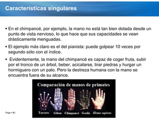 Características singulares


 En el chimpancé, por ejemplo, la mano no está tan bien dotada desde un
  punto de vista nervioso, lo que hace que sus capacidades se vean
  drásticamente menguadas.
 El ejemplo más claro es el del pianista: puede golpear 10 veces por
  segundo sólo con el índice.
 Evidentemente, la mano del chimpancé es capaz de coger fruta, subir
 por el tronco de un árbol, beber, acicalarse, tirar piedras y hurgar un
 hormiguero con un palo. Pero la destreza humana con la mano se
 encuentra fuera de su alcance.




Page  80
 