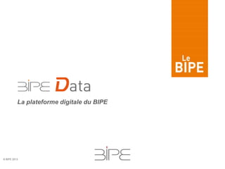 © BIPE 2013
La plateforme digitale du BIPE
 