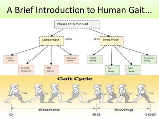 A Brief Introduction to Human Gait...

12/24/2013

 