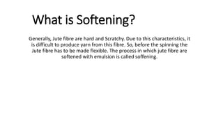 What is Softening?
Generally, Jute fibre are hard and Scratchy. Due to this characteristics, it
is difficult to produce yarn from this fibre. So, before the spinning the
Jute fibre has to be made flexible. The process in which jute fibre are
softened with emulsion is called soffening.
 