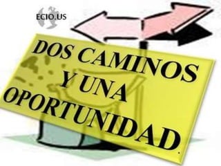 Bipocis. Las 7 competencias emprendedoras