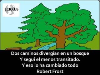 Bipocis. Las 7 competencias emprendedoras