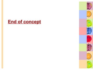 End of concept 