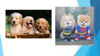 Bipolar disorder ebd