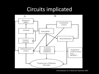 Circuits implicated




            S M Strakowski et al. Molecular Psychiatry 2005
 