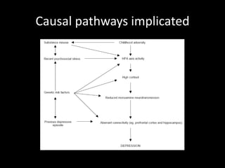 Causal pathways implicated
 