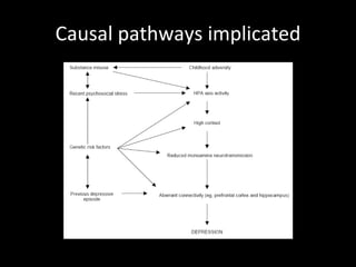 Causal pathways implicated 