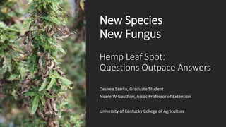 New Species
New Fungus
Hemp Leaf Spot:
Questions Outpace Answers
Desiree Szarka, Graduate Student
Nicole W Gauthier, Assoc Professor of Extension
University of Kentucky College of Agriculture
 