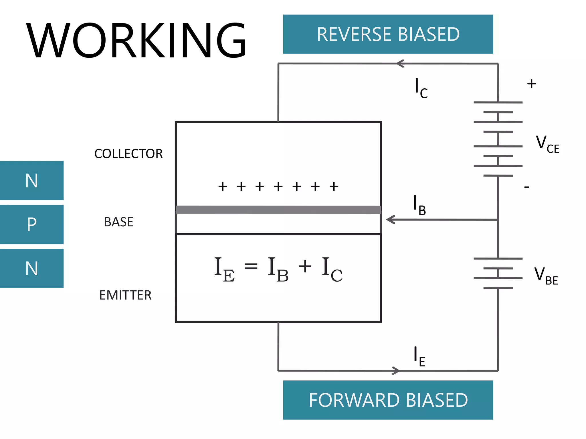 WORKING
N
N
P
COLLECTOR
BASE
EMITTER
VCE
+
-
VBE
+ + + + + + +
FORWARD BIASED
REVERSE BIASED
IB
IC
IE
IE = IB + IC
 