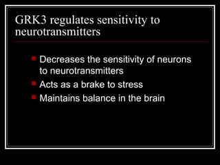 GRK3 regulates sensitivity to
neurotransmitters
 Decreases the sensitivity of neurons
to neurotransmitters
 Acts as a brake to stress
 Maintains balance in the brain
 