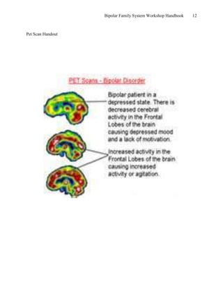 Bipolar Workshop Handbook 2