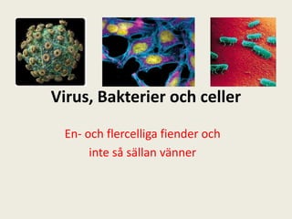 Virus, Bakterier och celler
 En- och flercelliga fiender och
      inte så sällan vänner
 