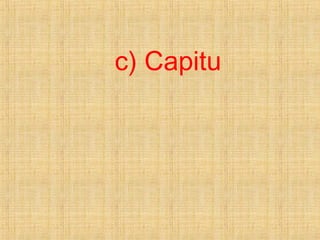 c) Capitu
 