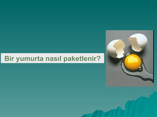 Bir yumurta nasıl paketlenir?   