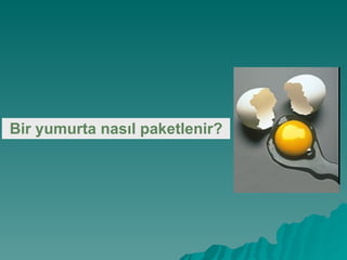 Bir yumurta nasıl paketlenir?   