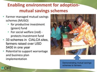 Livelihood Impacts Through Access to Markets