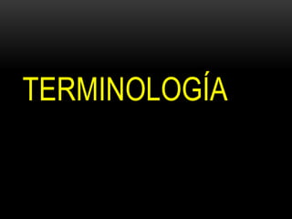 TERMINOLOGÍA
 