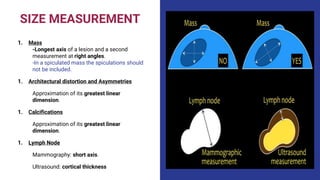 SIZE MEASUREMENT
1. Mass
-Longest axis of a lesion and a second
measurement at right angles.
-In a spiculated mass the spiculations should
not be included.
1. Architectural distortion and Asymmetries
Approximation of its greatest linear
dimension.
1. Calcifications
Approximation of its greatest linear
dimension.
1. Lymph Node
Mammography: short axis.
Ultrasound: cortical thickness
 