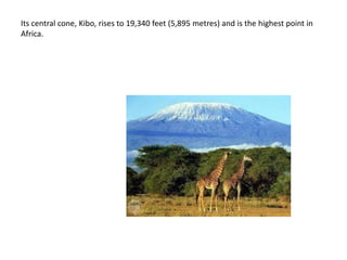 Its central cone, Kibo, rises to 19,340 feet (5,895 metres) and is the highest point in
Africa.
 