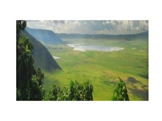 Round table 1 Occupational Health System in Tanzania