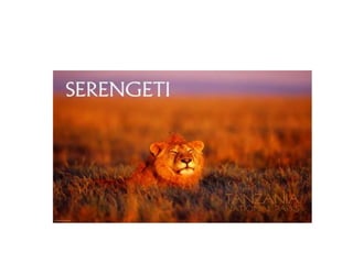 Round table 1 Occupational Health System in Tanzania