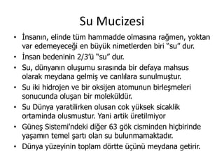 Biraz tefekkür