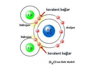 SUYUN SIVI HALİ, KATI HALİNDEN
DAHA YOĞUNDUR
 