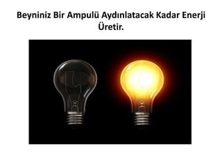 Biraz tefekkür
