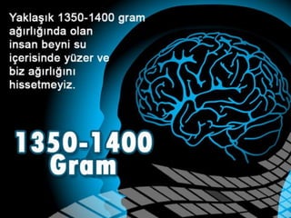 Biraz tefekkür