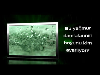 Biraz tefekkür