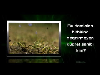 Biraz tefekkür