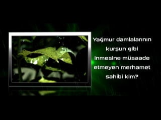 Biraz tefekkür