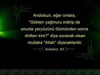 Dünyanın ısı dengesi
 
