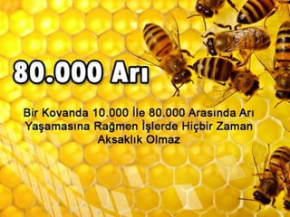 Biraz tefekkür