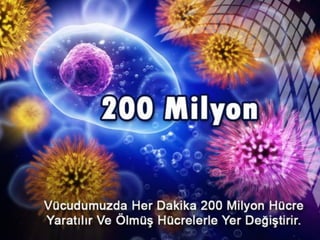 Biraz tefekkür