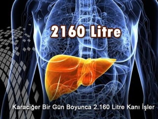 Biraz tefekkür