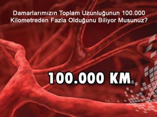 Biraz tefekkür