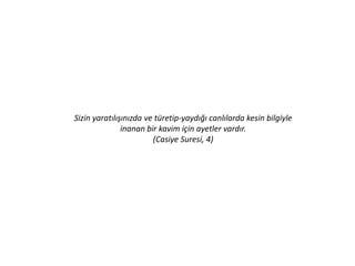 İnsan, kendi başına ve sorumsuz bırakılacağını mı
sanıyor?
Kendisi, akıtılan meniden bir damla su değil miydi?
Sonra bir alak (embriyo) oldu, derken (Allah, onu)
yarattı ve bir 'düzen içinde biçim verdi.‘
Böylece ondan, erkek ve dişi olmak üzere çift kıldı.
(Öyleyse Allah,) Ölüleri diriltmeye güç yetiren değil
midir?
KIYAMET SURESi 36-40
 