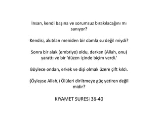 Biraz tefekkür