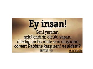 Biraz tefekkür