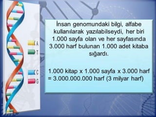 Sizleri Biz yarattık, yine de tasdik
etmeyecek misiniz? Şimdi (rahimlere)
dökmekte olduğunuz meniyi gördünüz
ü? Onu sizler mi yaratıyorsunuz,
yoksa yaratıcı Biz miyiz?
(Vakıa Suresi, 57-59)
 