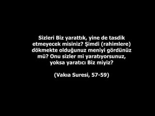 Üstte vücuttaki hücre çeşitlerinden birkaçı görülmektedir. Başta birbirinin aynı
olan hücrelerin çoğalmasıyla vücuttaki yaklaşık 200 tür hücre oluşur.
DNA'larında yazılı olan bilgi aynı olmasına rağmen, her hücre türü sadece
kendisine ait olan bilgileri kullanır. Hiçbir karışıklık çıkmaz. Kemik hücreleri asla
göz ya da başka bir organı oluşturmaya kalkmaz ya da sinir hücreleri,
alyuvarlarla karışmazlar. Hepsi nerede nasıl davranacağını çok iyi bilir. Bu
kusursuz düzeni sağlayan ve vücut hücrelerine neler yapacaklarını ilham eden
herşeyin hakimi olan yüce Allah'tır.
 
