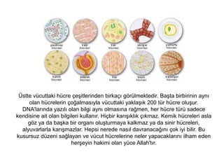 Tırnak Saç Kemik پş
 