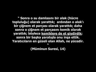 Nasıl yaratıldığınızı düşündünüz ü?
 